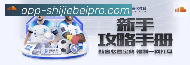 世界杯APP下载平台生态图