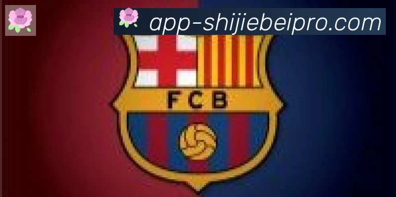 世界杯APP下载合作伙伴